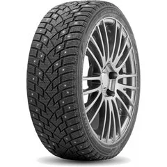 Delinte Winter WD42 245/45R20 103H