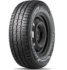 DoubleStar 185/75R16C 104/102R Winterking DW06