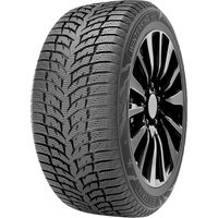 DoubleStar 225/55R17 97T Winterking DW08