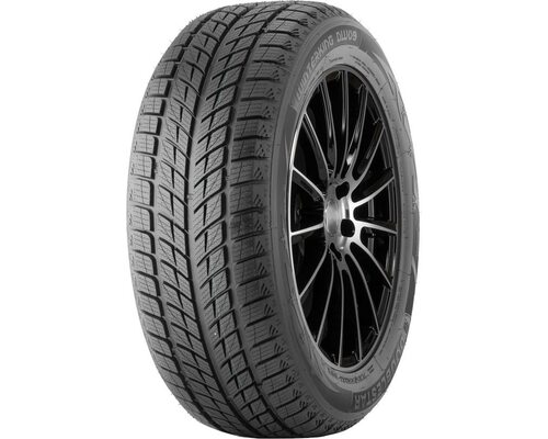 DoubleStar 255/55R19 107H Winterking DW09 (старше 3-х лет)