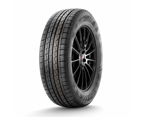 DoubleStar 235/60R16 100H DS01