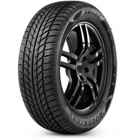 Goodride 205/45R17 88H XL SW608