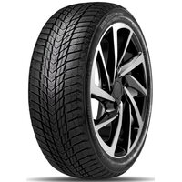Roadstone 225/55R17 101T Winguard Ice Plus (старше 3-х лет)