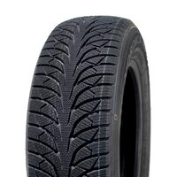 Rydanz Nordica NR01 225/55R17 101V
