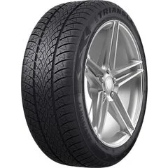 Triangle WinterX TW401 205/50R17 93V