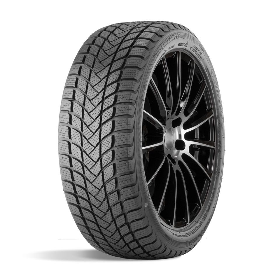 Landsail WINTER LANDER 225/55R18 98T