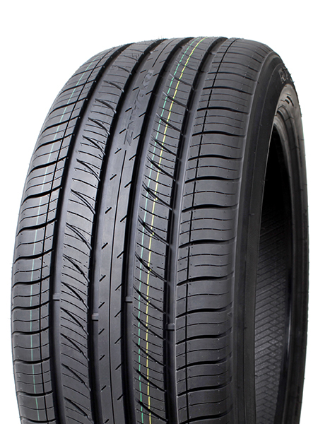 Rydanz Raleigh R06 245/45R20 103W
