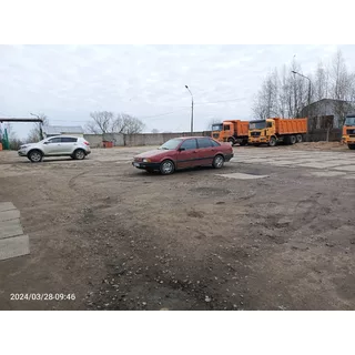 Фото к отзыву Мигель