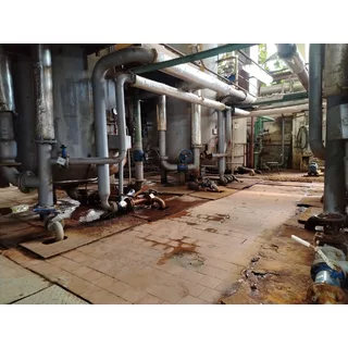 Фото к отзыву Максим